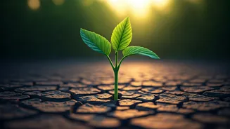 Ramadan Fatigue Explained: Expert Insights on Mid-Month Slump & Energy Solutions