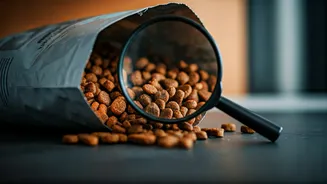 Why Processed Kibble Is Treated Cautiously By Smart Dog Owners