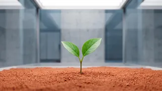 Could Plants Grow On Mars? A Student Experiment Tackles The Big Question