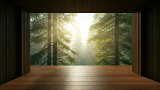 Forest Views Beat Hotel Views This Season