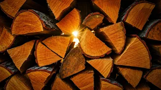 Unlock Optimal Firewood: Avoid the Hidden Moisture Trap for Smoky Winter Fires!