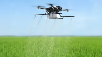 Low-Cost Smartphone Sensors: AI Crop Disease Detection Saves Harvests In Punjab And Maharashtra