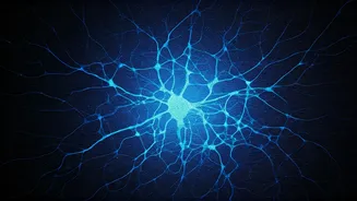 Anxiety in Teens: Understanding the Rise and Finding Solutions