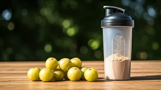 Sun Dried Amla Powder Is Leading The Natural Post Workout Trends
