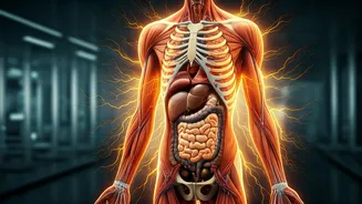 Metabolism Myths Busted: 5 Facts That Unravel Weight Loss Hurdles