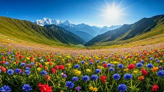 Uttarakhand Valley Of Flowers Welcomes Trekkers For Beautiful Seasonal Blooms
