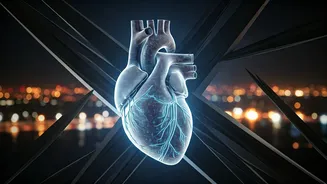 Related Stories banner