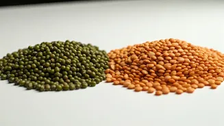 Moong vs. Arhar Dal: Your Guide to Choosing the Right Lentil for Weight Loss