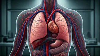 Related Stories banner