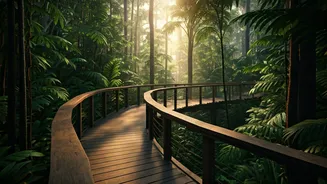 India's Forest Skywalks Are Pure Magic