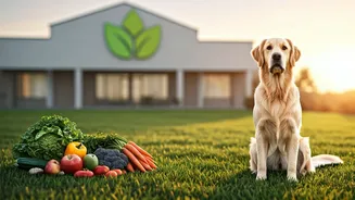 How Holistic Health Care Frameworks Safe Millions For Pet Parents