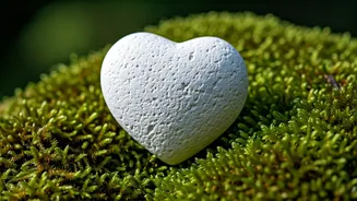 Forgiveness Heals the Heart for Inner Peace