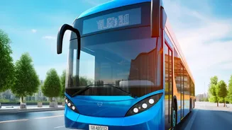 Check Whether the Reviewer Used a Car, Public Transport or Transfers