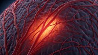 Rethinking Stroke: New Research Uncovers Small Vessel Damage as Key Culprit