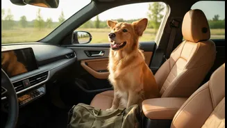 Pet-Friendly Travel Can Be Joyful If The Logistics Are Sorted Early