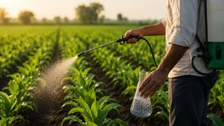 Fertiliser subsidy may double to Rs 3 lakh crore as West Asia crisis pushes up import costs