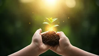 Albert Schweitzer's Wisdom: Happiness as the True Path to Success for Kids