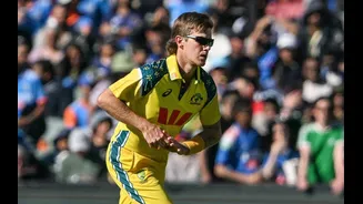 Related Stories banner