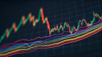 Indian Market's Volatility: A Quick Look
