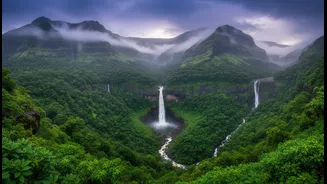 Rain Brings Western Ghats To Life Again