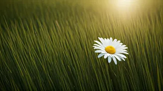 Unlocking Calm: Breathing Exercises for Relaxation