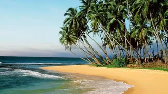 Why Sri Lanka Is The Easiest Destination For Spontaneous Week Long Indian Getaways