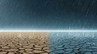 City Water Habits Need A Monsoon Reset