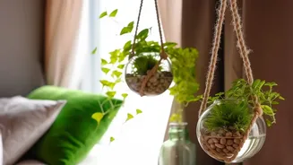 How Hanging Planters For Small Spaces Works In Decorating Rooms With Indoor Plants