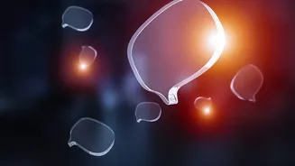 Why Modern Job Seekers Rely On Conversational AI Language Bots To Build Interview Readiness