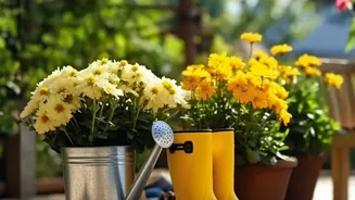 Holiday Watering Plans Should Account for Pot Size and Window Direction