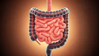 Gut Health Is Calling Out Pakora Season