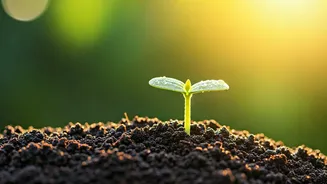 Celebrate Every Step: Mastering Small Wins for a Fuller Life