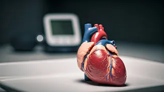 Telangana's Health Drive Uncovers Millions with Hypertension and Diabetes