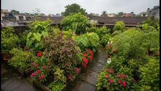 Monsoon-Friendly Plants Perfect For Rooftop Spaces