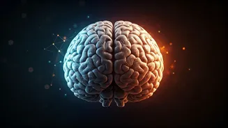 Why Human Judgement Matters More Than Ever