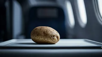 Air India Criticized: Passenger Claims Rotten Aloo Chaat Served on Delhi-Pune Flight