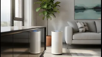 Settled Dust Needs Wiping or Vacuuming Even When an Air Purifier Runs
