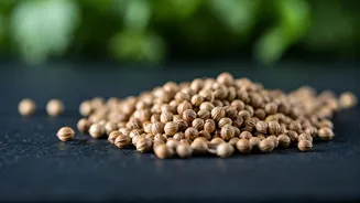 Beat the Heat: Unlock the Natural Cooling Power of Coriander Seeds