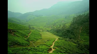 Munnar 19°C dawn vs Madurai 36°C noon: same state, two summer Indias