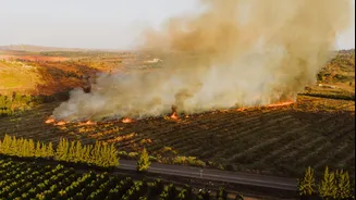 Study Highlights Role of Community Rules in Sustainable Slash-and-Burn Farming