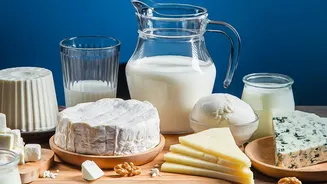 Industry Release Highlights Growing Interest in Convenient Protein Foods
