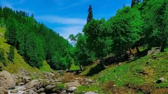 Exploring Uncrowded Himachal: Offbeat Monsoon Retreats In Tirthan Valley And Shoja