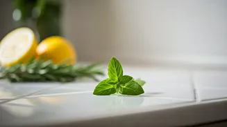 Beyond the Scent: Unmasking Kitchen Odors for a Truly Fresh Home