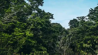 How Bhubaneswar Travelers Enjoy Uncrowded Forest Trails On Quick Budget Weekend Getaways