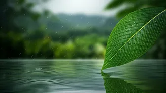 Late June Starts India’s Culture-Heavy Monsoon