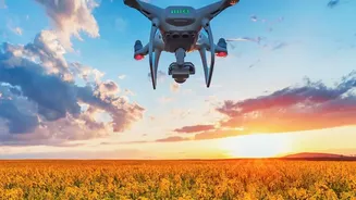 Agriculture Innovation: Low-Cost AI Sensors Protect Harvests Across Punjab And Maharashtra