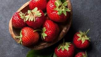 India's Imported Strawberry Pipeline Begins With Patented Mother Plants