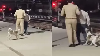 Dog Bites Suspect Caught at Train Station