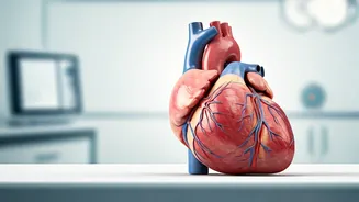 Heart Health: Lifestyle Factors for a Strong Heart