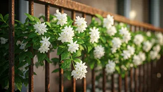 Monsoon Railings Deserve A Jasmine Glow-Up